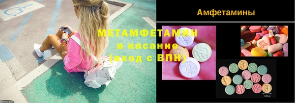 индика Мегион