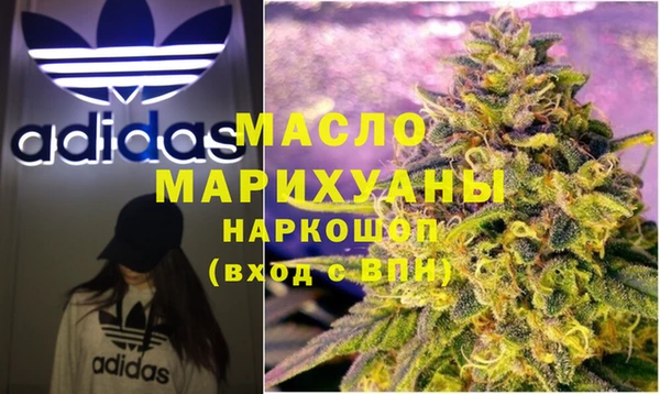 индика Мегион