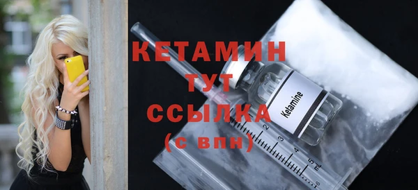 индика Мегион