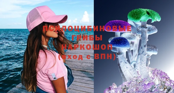 тгк Михайловск