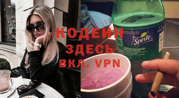 индика Аша
