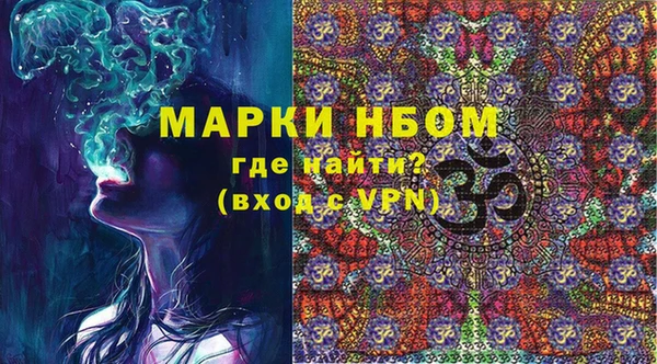 индика Мегион