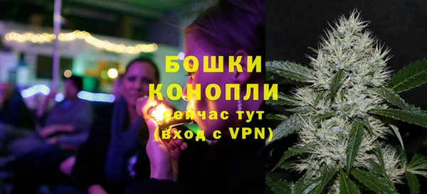 индика Аша