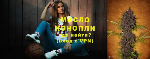 индика Мегион