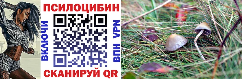 Псилоцибиновые грибы мицелий  Остров 